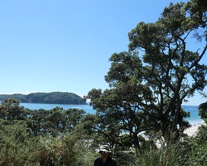 Coastal path N. of Hahei