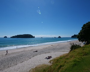 Hahei Beach