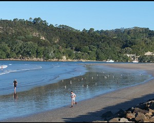 Whitianga